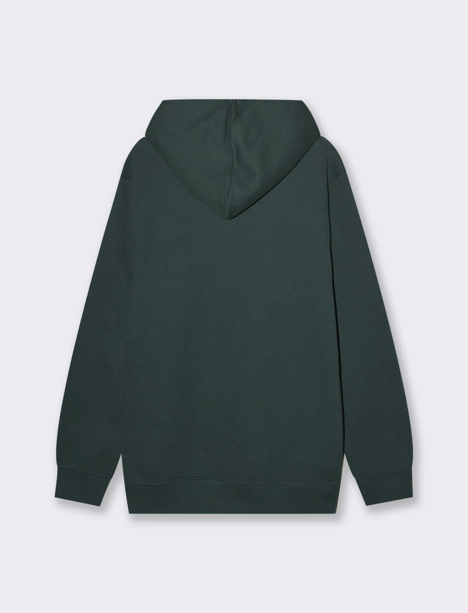 Uomo Piazza Italia Felpe<Felpa cappuccio in misto cotone garzato regular fit - scuro
