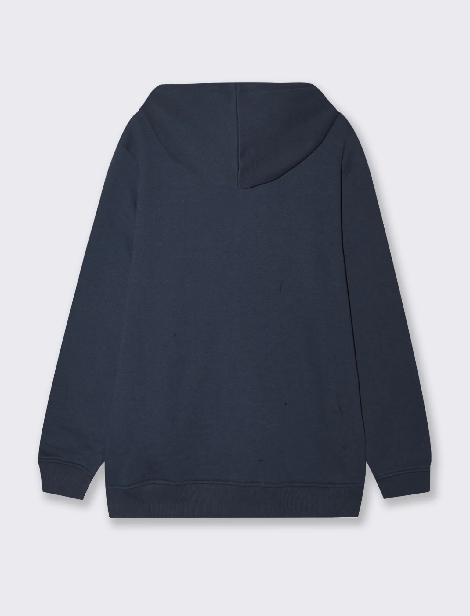 Uomo Piazza Italia Uomo | Felpe<Felpa con cappuccio in misto cotone garzato regular fit -