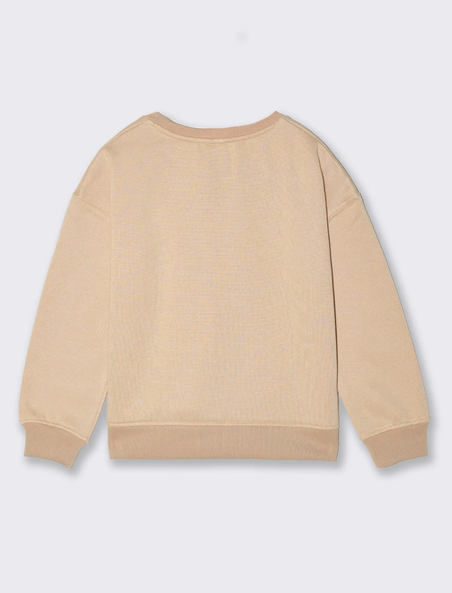 Piazza Italia Bambina | Felpe<Felpa girocollo da bambina in mobido cotone - Beige