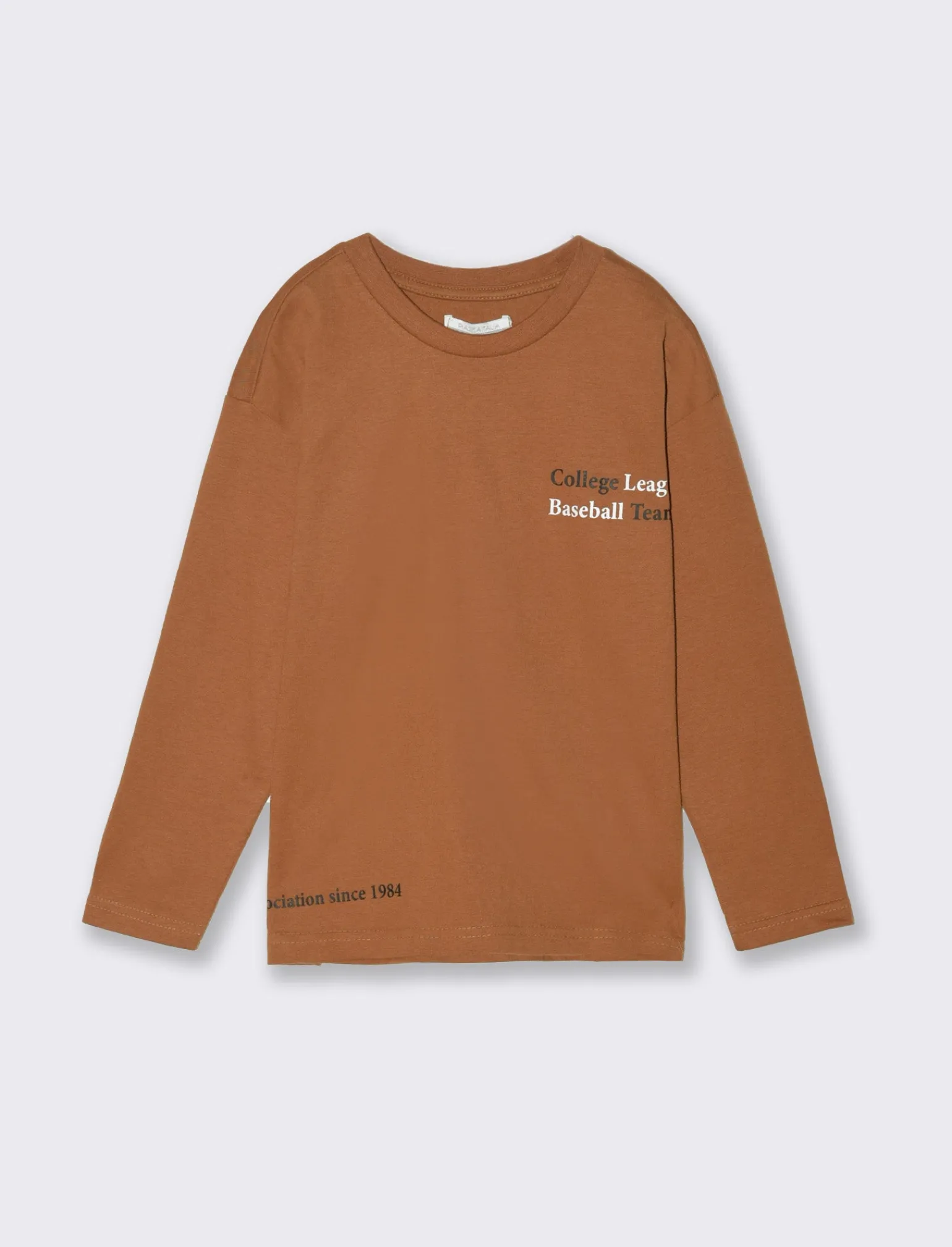 Bambino Piazza Italia Bambino | Maglieria<T- shirt con stampa posteriore da bambino - Marrone tabacco