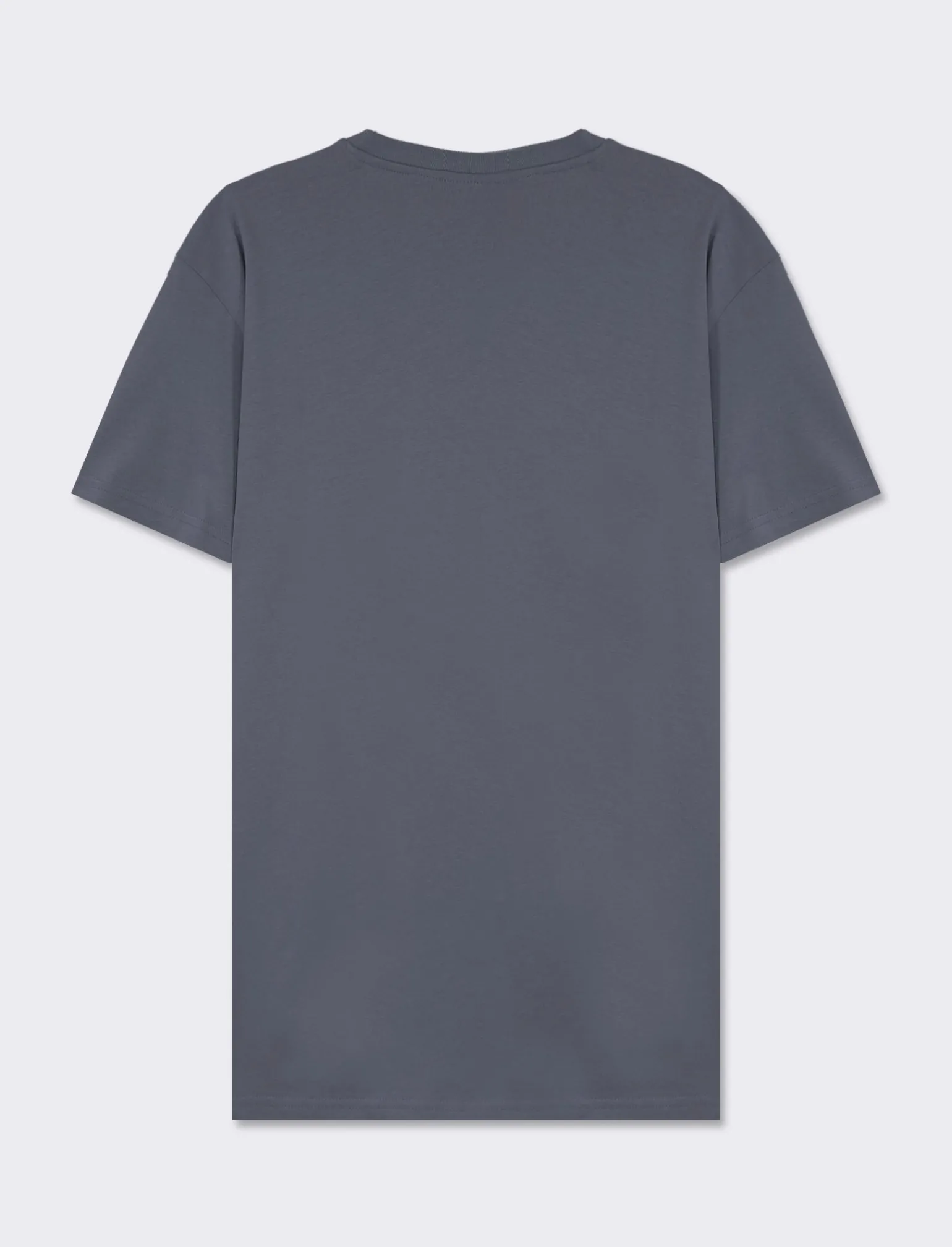 Uomo Piazza Italia Uomo | Polo E T-Shirt<T-shirt girocollo con stampa a contrasto sulle maniche regular fit - Avion