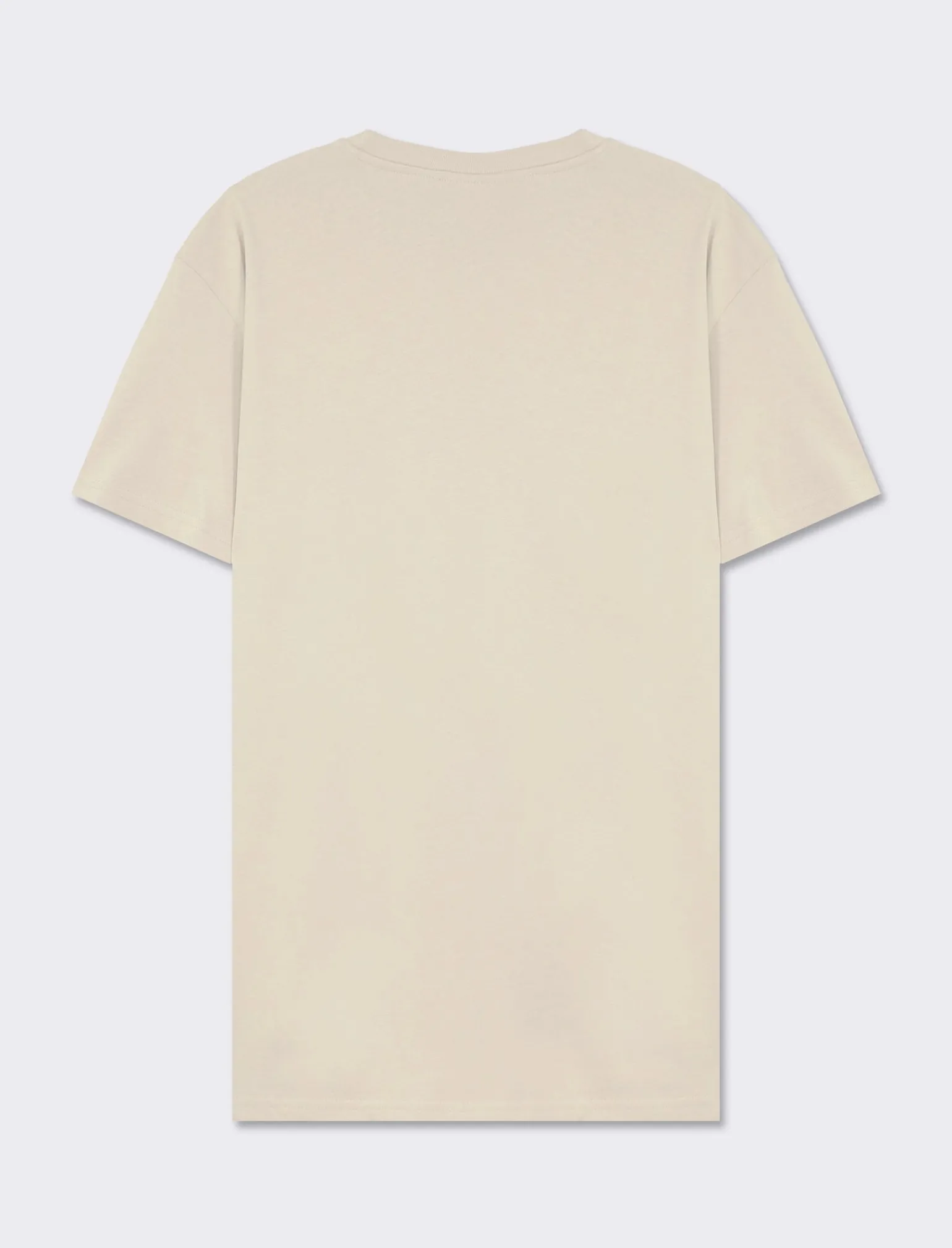 Uomo Piazza Italia Uomo | Polo E T-Shirt<T-shirt girocollo con stampa a contrasto sulle maniche regular fit - latte