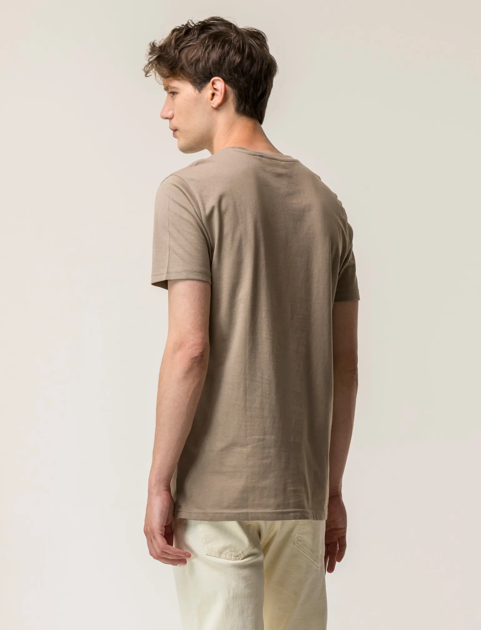 Uomo Piazza Italia Uomo | Polo E T-Shirt<T-shirt girocollo con stampa a contrasto sulle maniche regular fit - tortora