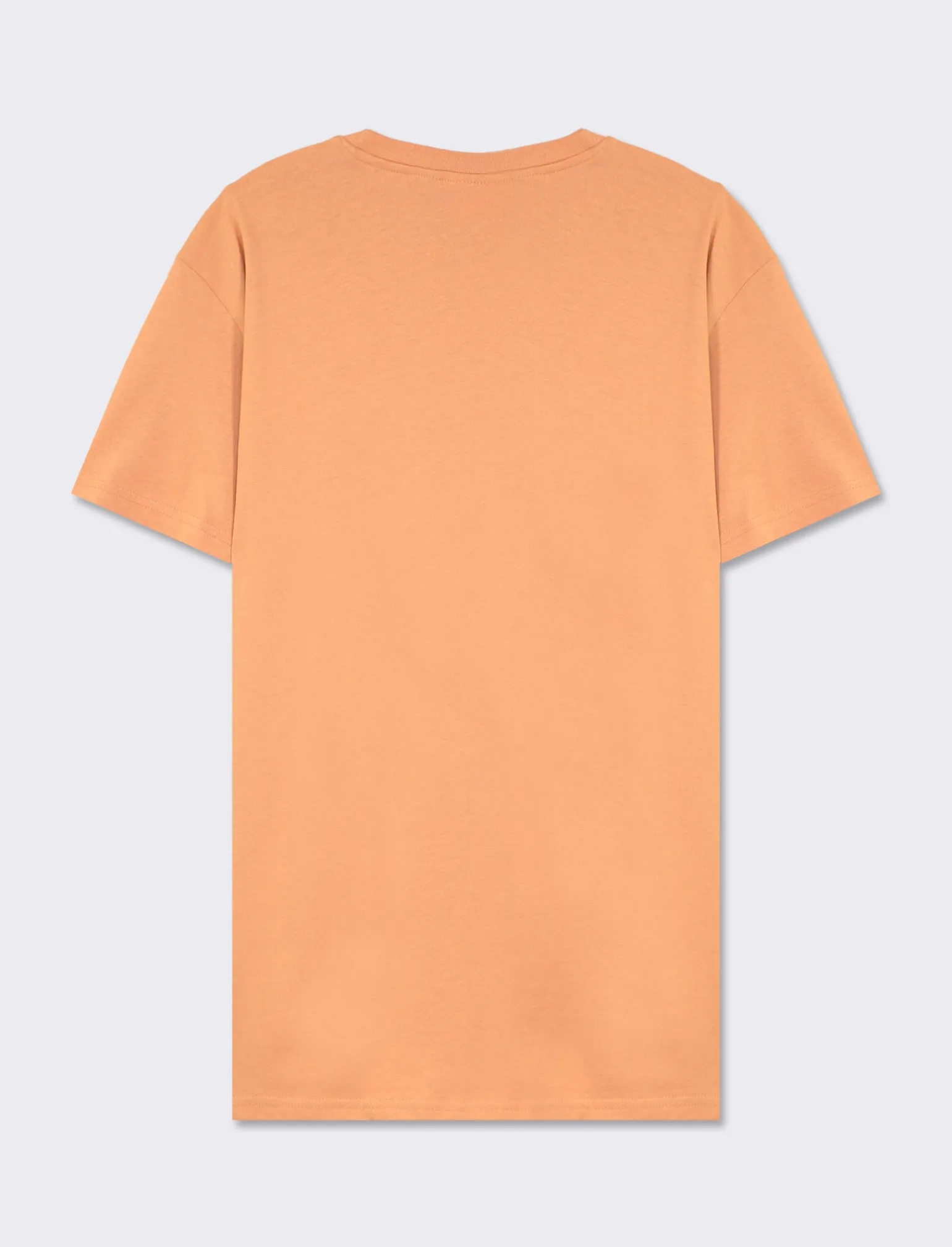 Uomo Piazza Italia Uomo | Polo E T-Shirt<T-shirt girocollo con stampa a contrasto sulle maniche regular fit - Rosa salmone
