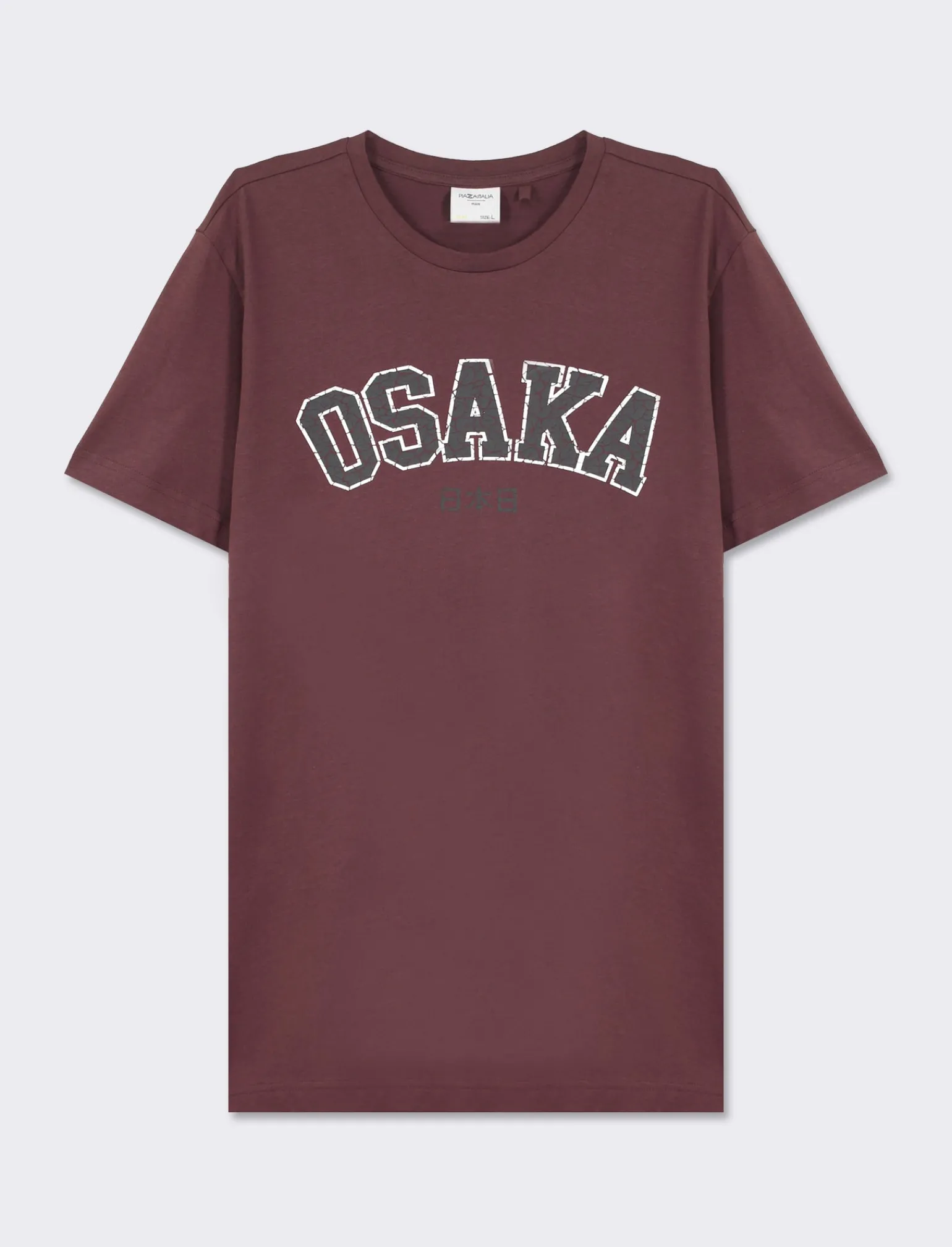 Uomo Piazza Italia Uomo | Polo E T-Shirt<T-shirt girocollo maniche corte regular fit college inspiration - Bordeaux