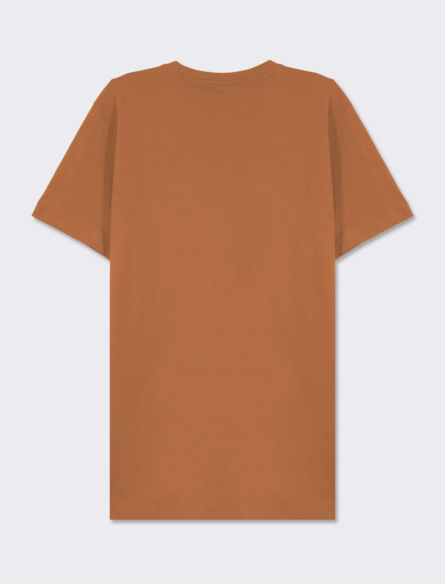 Uomo Piazza Italia Uomo | Polo E T-Shirt<T-shirt girocollo maniche corte regular fit college inspiration - tabacco