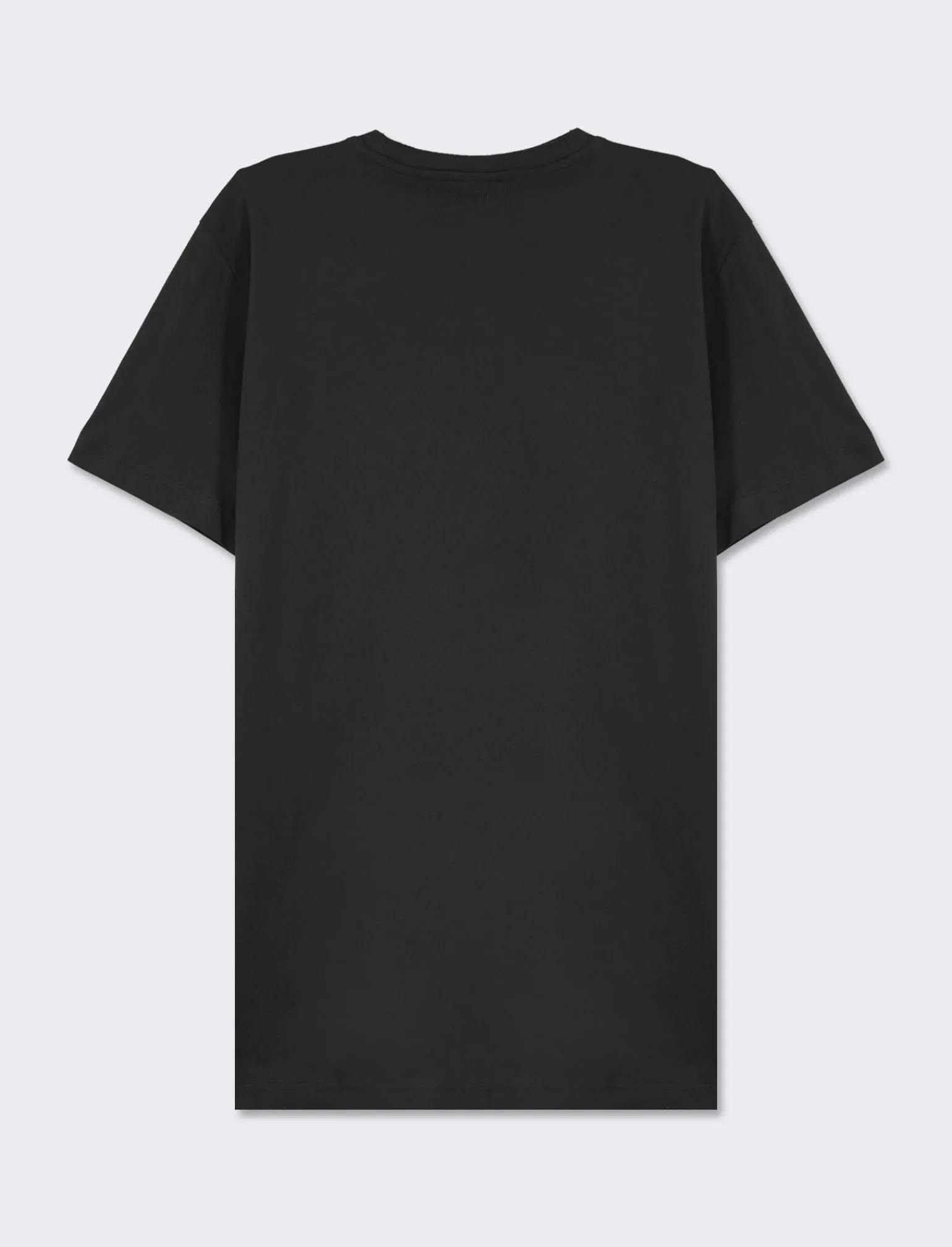 Uomo Piazza Italia Uomo | Polo E T-Shirt<T-shirt girocollo maniche corte regular fit college inspiration -