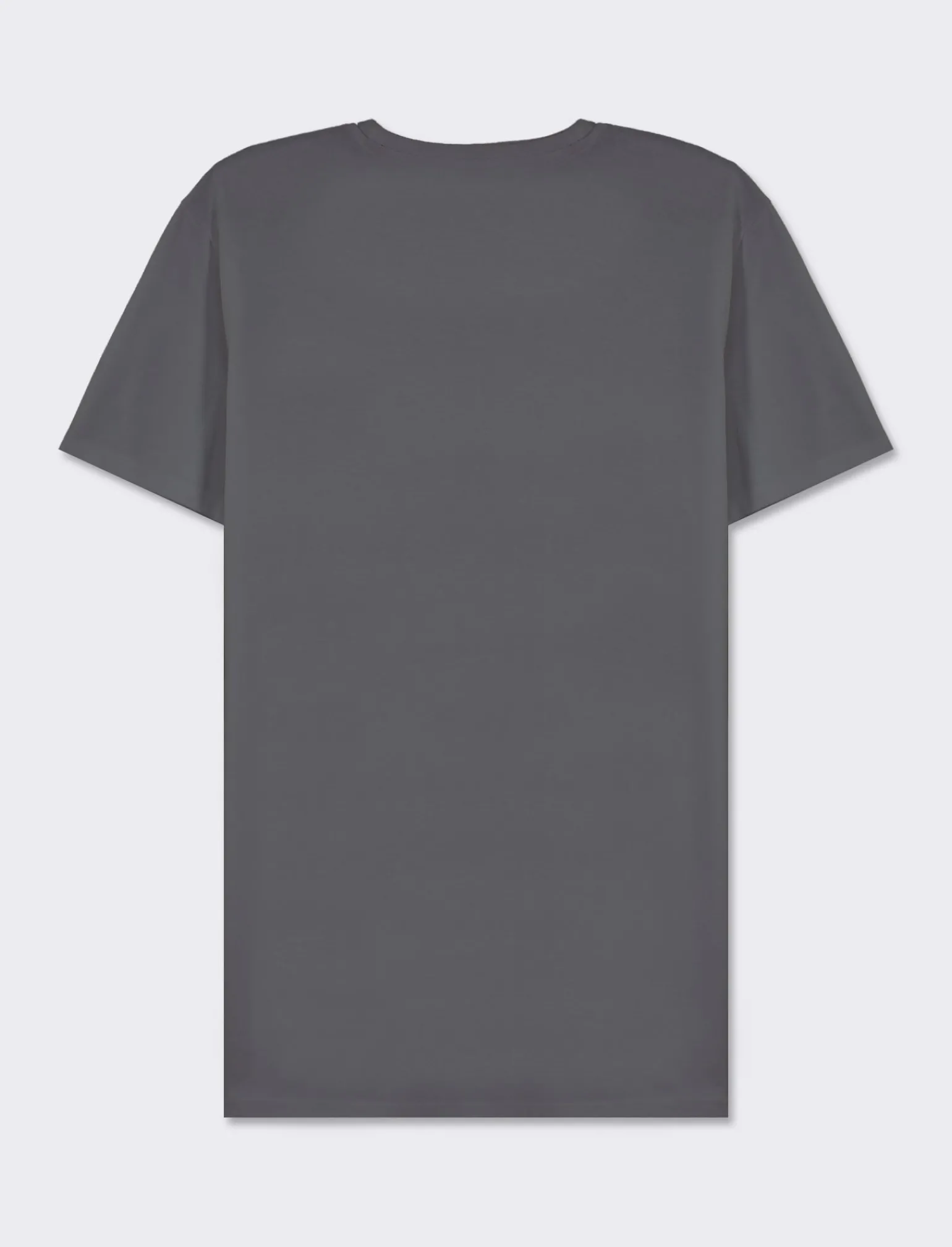 Uomo Piazza Italia Uomo | Polo E T-Shirt<T-shirt girocollo maniche corte regular fit in jersey puro cotone - Avion