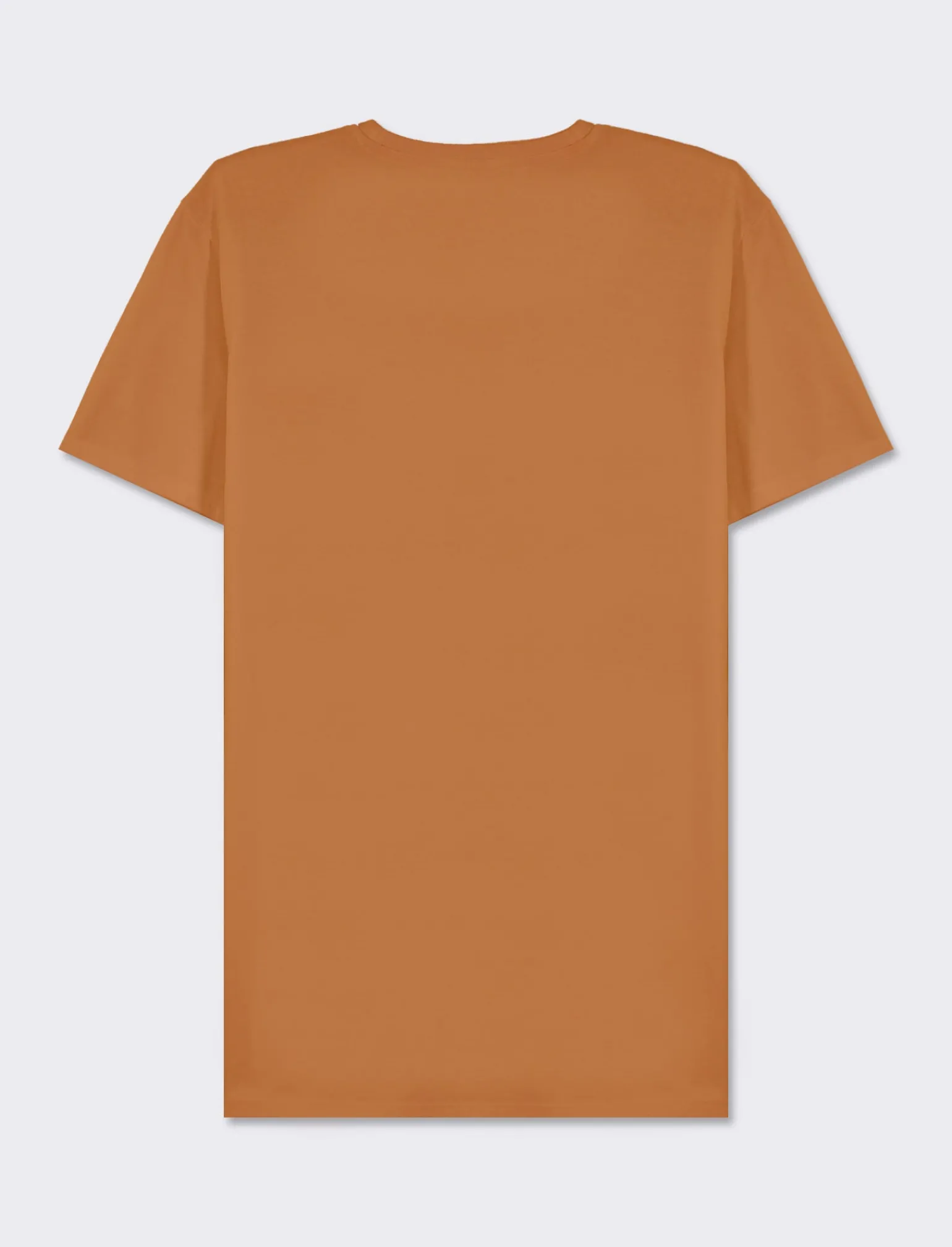 Uomo Piazza Italia Uomo | Polo E T-Shirt<T-shirt girocollo maniche corte regular fit in jersey puro cotone - tabacco