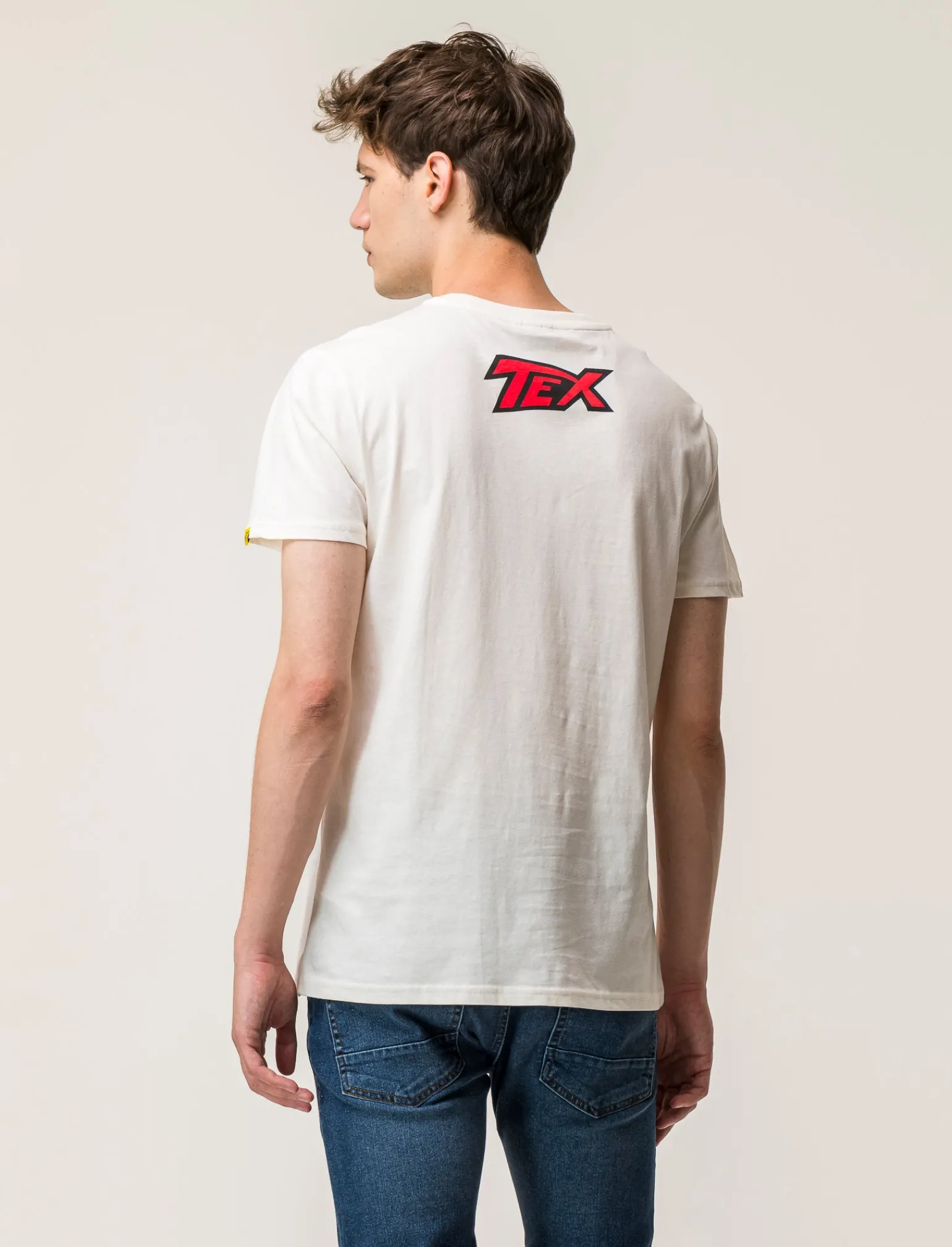 Uomo Piazza Italia Uomo | Polo E T-Shirt<T-shirt girocollo maniche corte regular fitcon TEX WILLER License - sporco