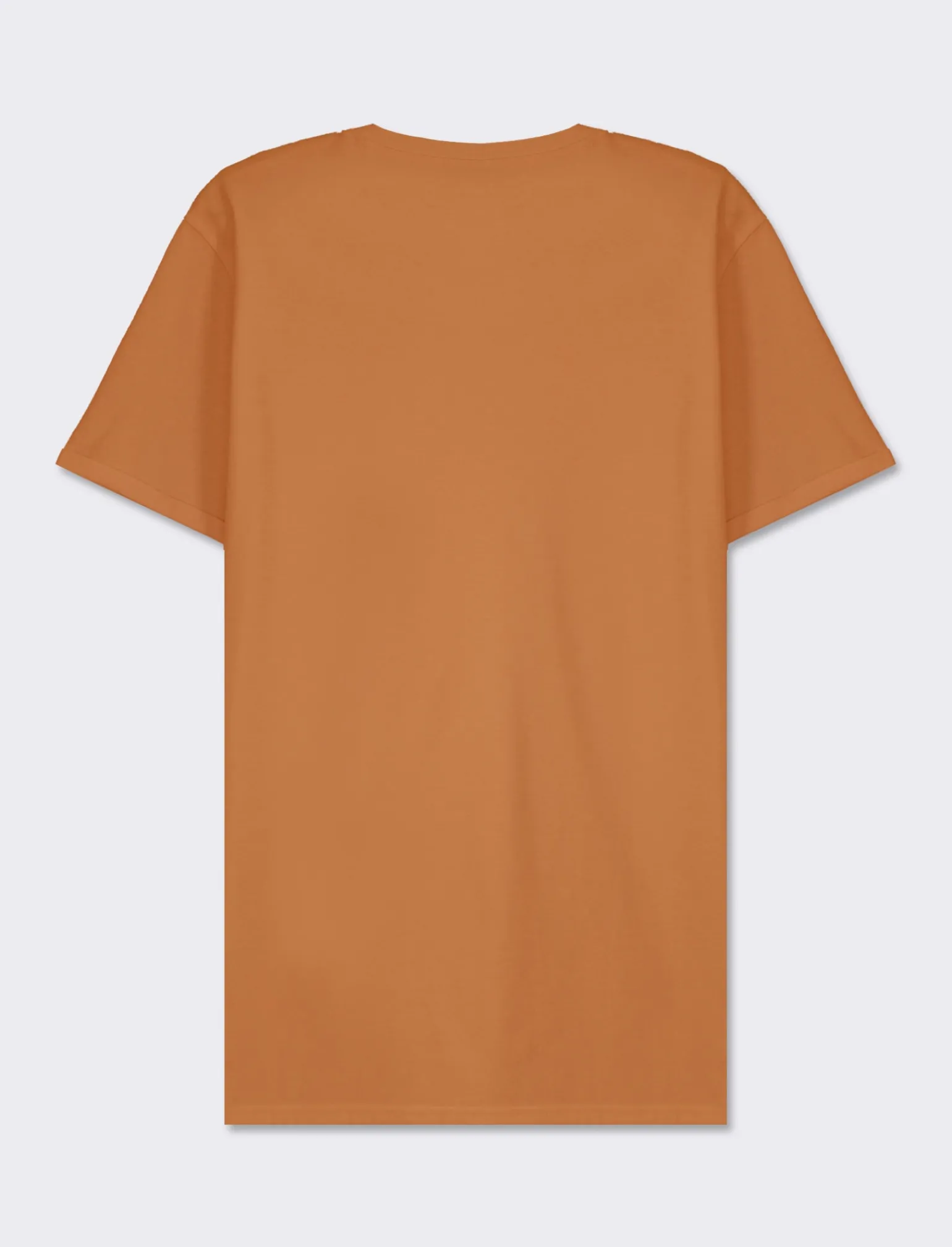 Uomo Piazza Italia Uomo | Polo E T-Shirt<T-shirt girocollo maniche corte regularfit in jersey puro cotone - tabacco
